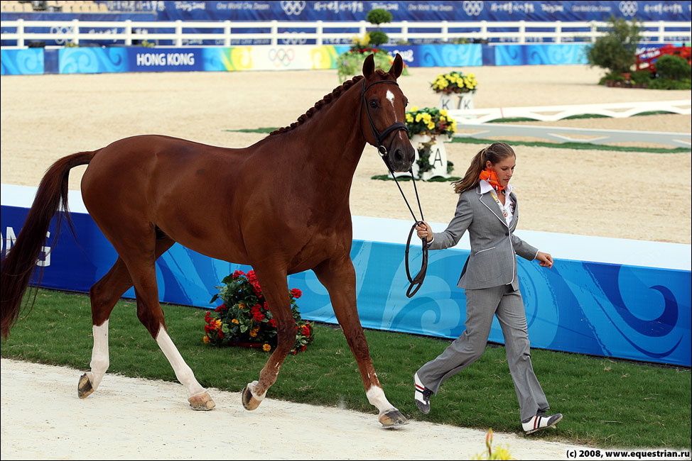 http://www.equestrian.ru/photos/photoreport2008/08_oi/dressage/vet_insp/KSHT0604_parzival_ned.jpg