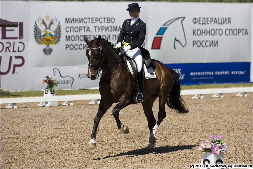 Конкурс федерация конного спорта россии Конкурс федерация конного спорта россии