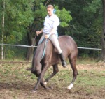 ���� � ���� 2006 ����� �������