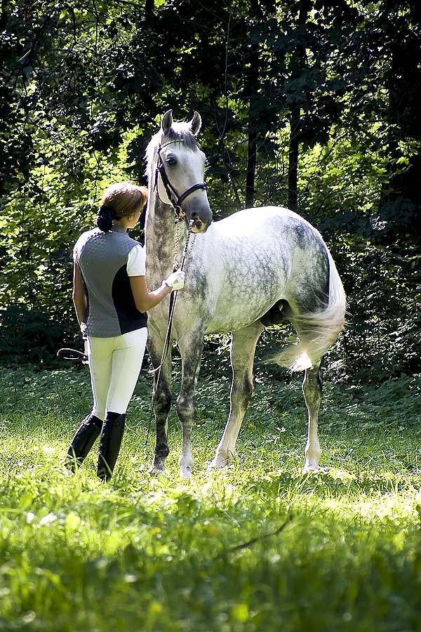 http://www.equestrian.ru/photos/user_photo/2008/0dcafdd9.jpg