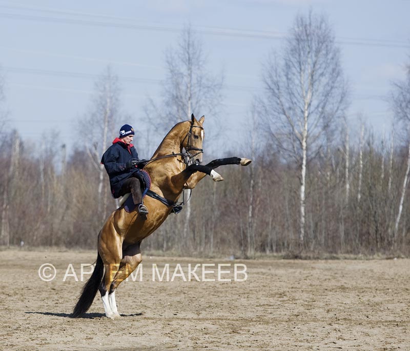 http://www.equestrian.ru/photos/user_photo/2008/3d4225bc.jpg