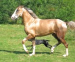 �� ��������. ���� 2008
