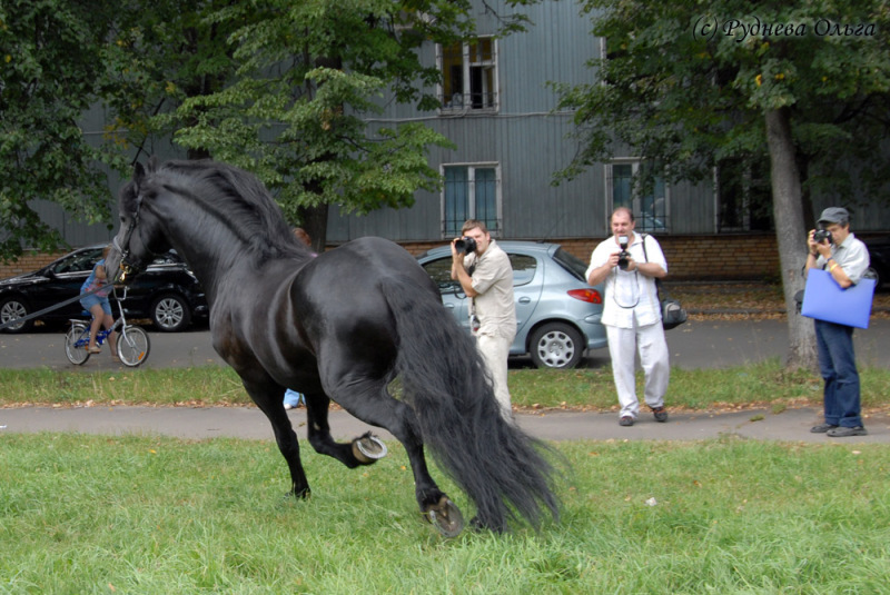 http://www.equestrian.ru/photos/user_photo/2008/474b4dd7.jpg