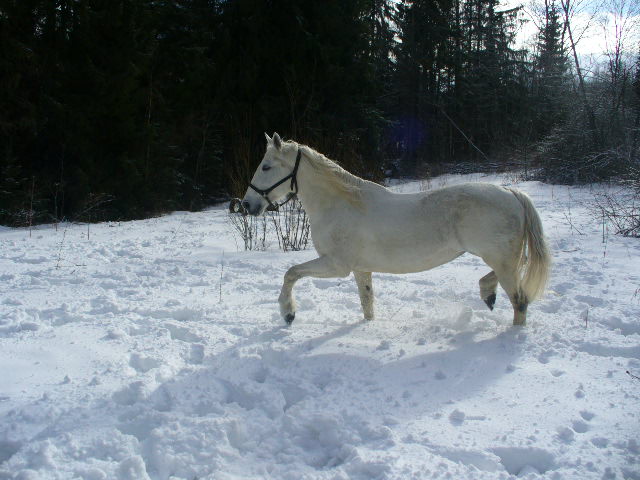 5211377e.jpg