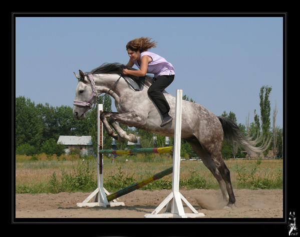 http://www.equestrian.ru/photos/user_photo/2008/5f0c0c39.jpg