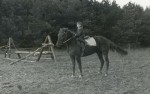 ��� ������ �����. 1988�.