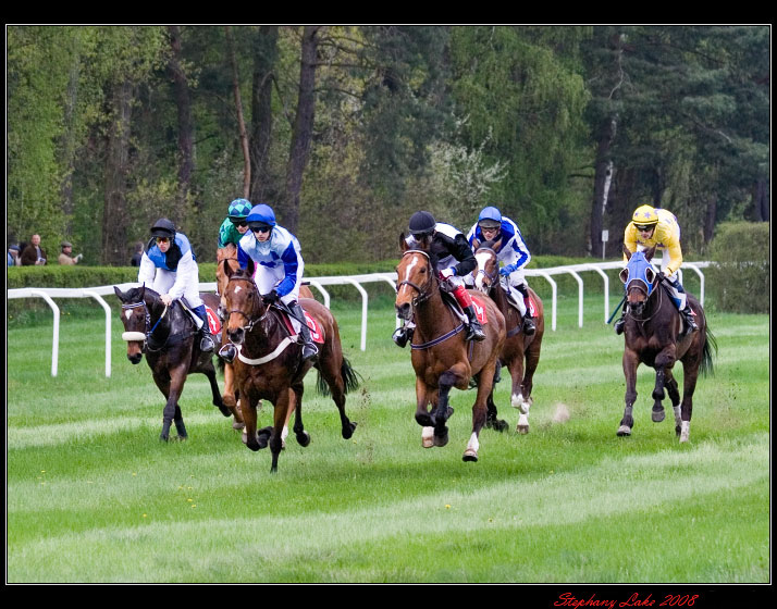 http://www.equestrian.ru/photos/user_photo/2008/6c352192.jpg