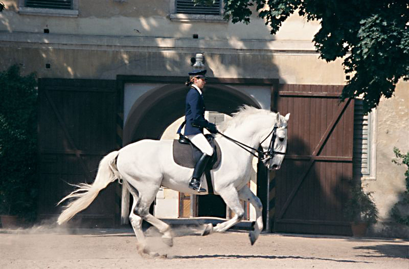 7efd7287.jpg