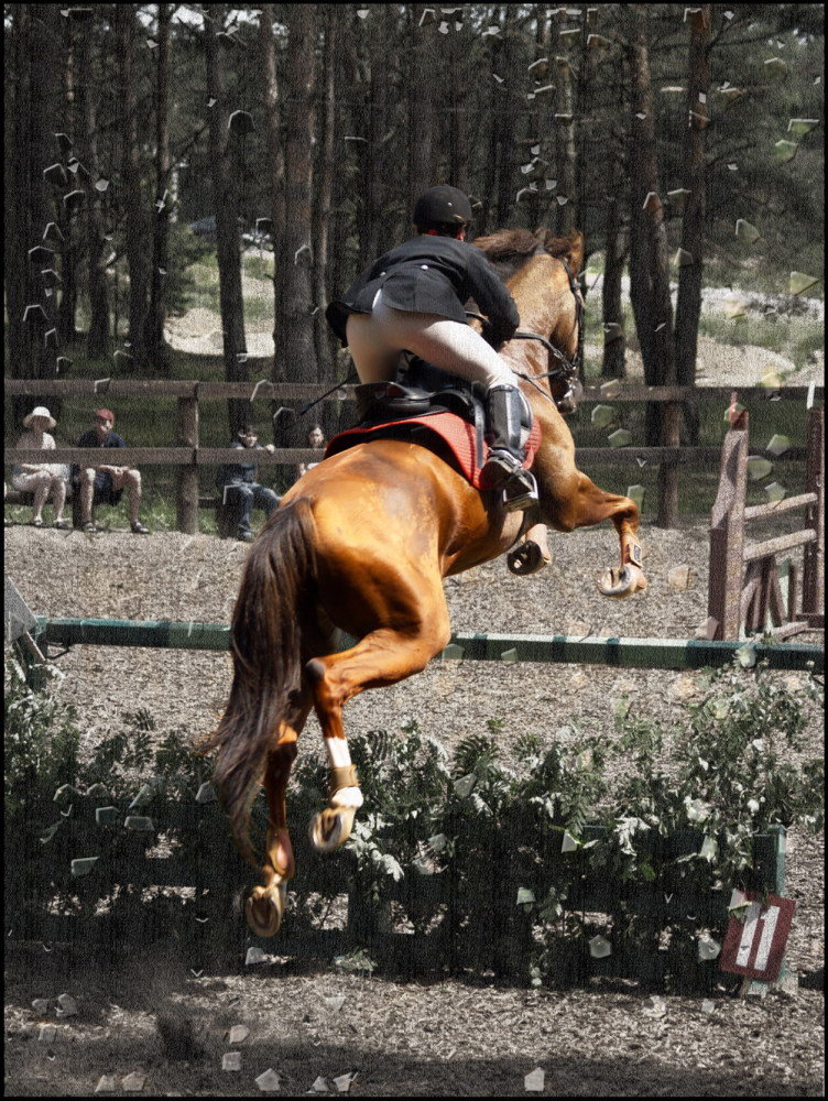 http://www.equestrian.ru/photos/user_photo/2008/966f771b.jpg