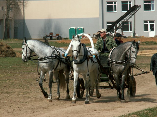 http://www.equestrian.ru/photos/user_photo/2008/a50dd92d.jpg