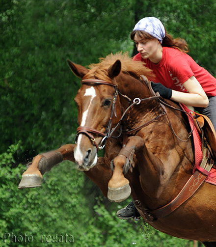 http://www.equestrian.ru/photos/user_photo/2008/bec16c1e.jpg