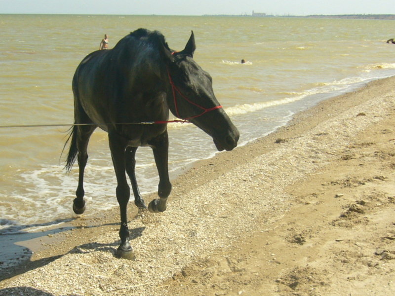 c655f6e0.jpg