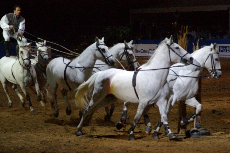Лоренцо (Lorenzo) – Шоу “Летающего всадника”