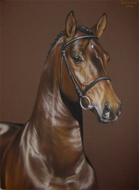 http://www.equestrian.ru/photos/user_photo/2008/ed59ceeb.jpg