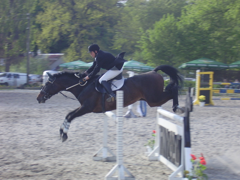 http://www.equestrian.ru/photos/user_photo/2008/f7d33afc.jpg