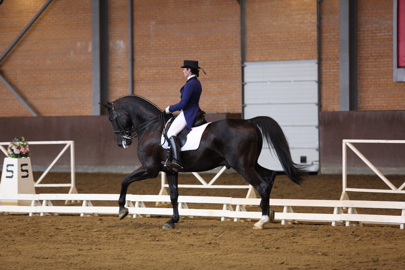 http://www.equestrian.ru/photos/user_photo/2009/0ba2c3ba.jpg