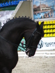 ����� ���� 2009