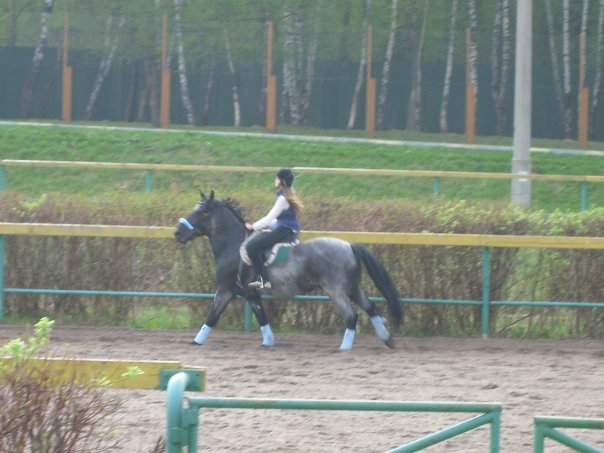 http://www.equestrian.ru/photos/user_photo/2009/31ad26fe.jpg