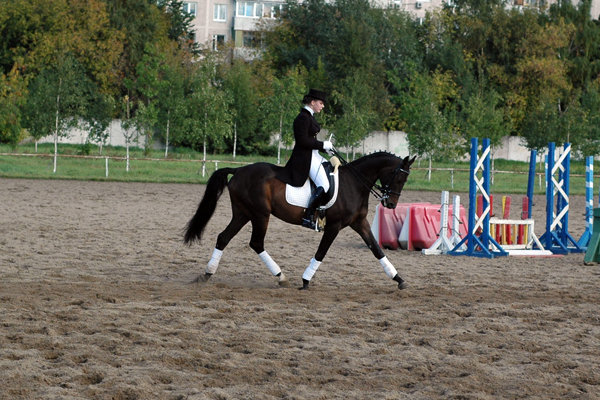 http://www.equestrian.ru/photos/user_photo/2009/43d84bcc.jpg