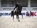 ����� ���� 2009