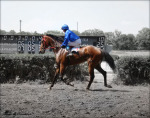 ����������, ������ � �������� �������...