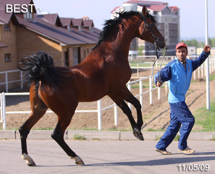 http://www.equestrian.ru/photos/user_photo/2009/6d515588.jpg