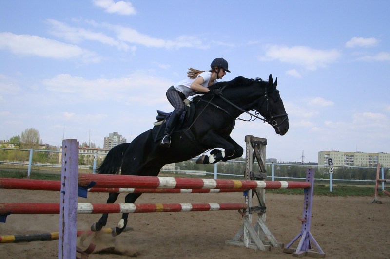 http://www.equestrian.ru/photos/user_photo/2009/7624ebf2.jpg