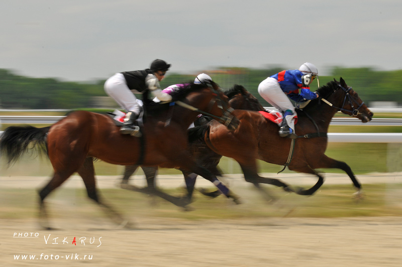 http://www.equestrian.ru/photos/user_photo/2009/85e546e0.jpg