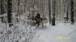 Свадьба в русском народном стиле. Очень красиво было)Автор: Ярослава.