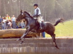 Svetlin Ivanov & Vimpel