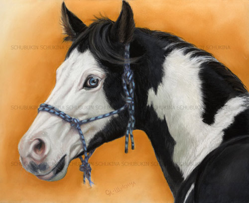 http://www.equestrian.ru/photos/user_photo/2009/d42b2cc3.jpg