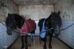 ���� � ���� ������ ������)