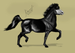 Black stallion. ������� + ����. ��� ��� ��� ��� ��������. �� ����� ���� �� �������.