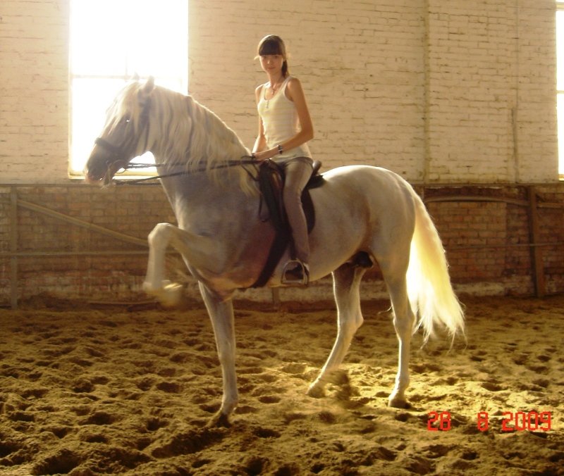 http://www.equestrian.ru/photos/user_photo/2010/0716e5f1.jpg