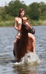 ������ 2009