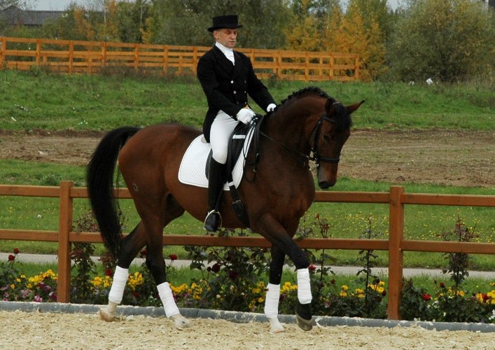 http://www.equestrian.ru/photos/user_photo/2010/15ad760f.jpg