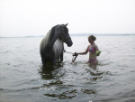 ���� 2010�.