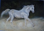 ������ �������� �� ���� ������� ��������, ���������������� ������ ����� �� ���������� ���������..� ���������� �� ������ ����� ������ ��������.�����/�����