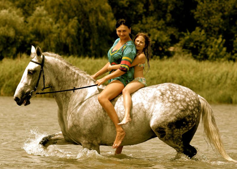 http://www.equestrian.ru/photos/user_photo/2010/3bf9de56.jpg