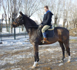 2010