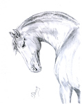 �� ���� KatyaD  http://www.equestrian.ru/my/10642/favorites/140273