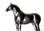 Zbrush