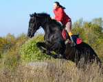 ����� ������ ������� , www.art-horse.do.am