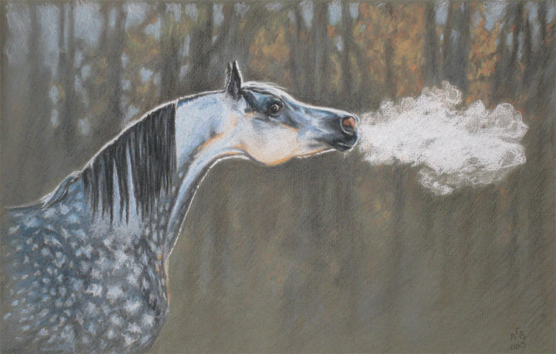 http://www.equestrian.ru/photos/user_photo/2010/871638fc.jpg