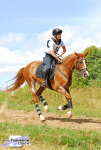 CCI 3* ���������, �����. 2010.08.21