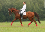 ����, 2004 (������ �� - ����� �� ������). ����� � ��� "Orloff" (������).