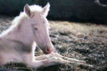 �Pretty is something you're born with."