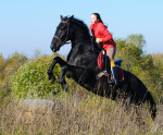 ����� ������ ������� , www.art-horse.do.am