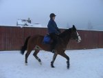 17.01.2010, � ��� � ���������� - ����� ��������� ����. 