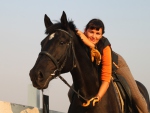 http://horse-way.ru/